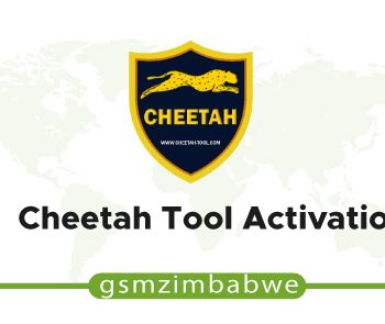 Cheetah Tool Activation